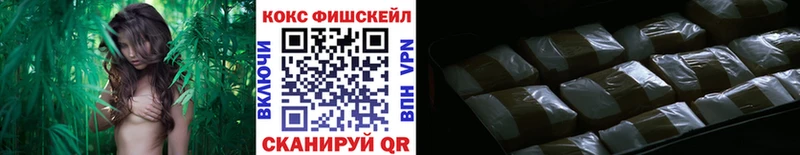 КОКАИН Fish Scale  Артёмовский 